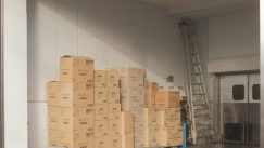 Μέλος εγκληματικής οργάνωσης στην Θεσσαλονίκη εισήγαγε κάνναβη μέσω ταχυδρομικών δεμάτων 