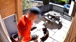 Ταχυδρόμος της Royal Mail πιάστηκε να κλωτσά κουτάβι: Σάλος με το βίντεο από κάμερα ασφαλείας