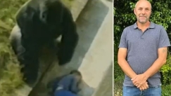 Η ιστορία του 5χρονου αγοριού που είχε πέσει στο κλουβί γορίλα: «Διαμόρφωσε τη ζωή μου» (vid)