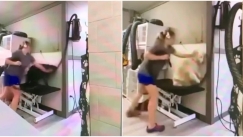 Φρίκη σε κομμωτήριο σκύλων στις ΗΠΑ: Άγρια κακοποίηση από υπάλληλο της επιχείρησης (vid)