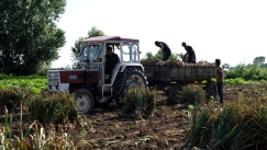 Συνταξιούχος καλείται να επιστρέψει 47.000€ λόγω «μυστικής» εργασίας στα χωράφια