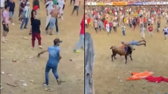 Ταύρος σκοτώνει άνδρα σε φεστιβάλ στην Κολομβία: Το βίντεο που σοκάρει