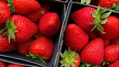 Απόλυση-σοκ στα Lidl: Εργαζόμενος συνελήφθη με δύο πακέτα φράουλες και έχασε τη δουλειά του για λιγότερα από 6€