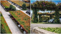 Η Ιαπωνία καινοτομεί ξανά: Πράσινες στέγες σε πάρκινγκ αλλάζουν τις πόλεις (vid)