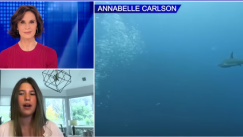 «Με δάγκωσαν δύο καρχαρίες - Έμεινα ξύπνια 90 λεπτά για να μείνω ζωντανή»: Η συγκλονιστική ιστορία 16χρονης (vid)