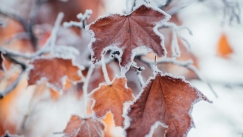 Το καιρικό φαινόμενο La Niña: Πως επηρεάζεται ο χειμώνας στις ΗΠΑ (vid)