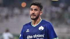 Βιγιαφάνιες