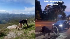 Ξέχνα τα γυμναστήρια: Αυτή η άσκηση στα τέσσερα σαρώνει το TikTok και είναι η πιο αποτελεσματική (vid)