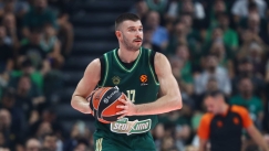 Νίκος Ρογκαβόπουλος