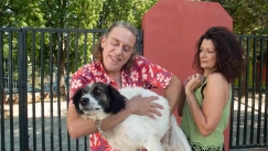 «Σκυλίσια ζωή»: Πώς γίνεται να μην υποφέρουμε;