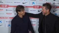 ΑΛΜΕΙΔΑ ΣΙΜΕΟΝΕ