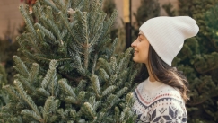 Ειδικός στα χριστουγεννιάτικα δέντρα προειδοποιεί: Δεν πρέπει ποτέ να το αποθηκεύετε σε αυτά τα μέρη