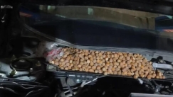 Πήγε να ελέγξει θόρυβο στο αυτοκίνητό του και βρήκε κάτω από το καπό πάνω από 15 κιλά φουντούκια (vid)