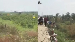 Χάος στην Κίνα: Fake βίντεο έλεγε ότι οι πιπεριές είναι δωρεάν και άγνωστοι ξάφρισαν ολόκληρα χωράφια