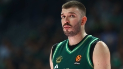 Νίκος Ρογκαβόπουλος