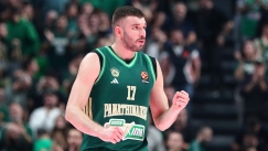 Νίκος Ρογκαβόπουλος