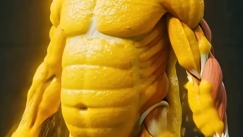 Σοκαριστική προσομοίωση: Τι συμβαίνει πραγματικά στο σώμα σας όταν δεν τρώτε για 24 ώρες