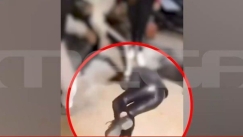 Σοκαριστικό βίντεο-ντοκουμέντο από τον ανελέητο ξυλοδαρμό 16χρονης μαθήτριας από συνομήλικές της