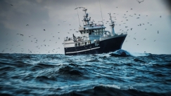 Η «σκοτεινή» αλήθεια πίσω από το ψάρεμα του τόνου στους ωκεανούς