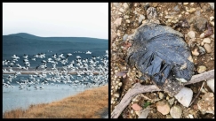 Τύπος ανακάλυψε ανατριχιαστικό πακέτο σε λίμνη της Νέας Υόρκης μετά την πτώση της στάθμης του νερού