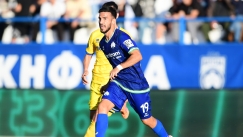 Βιγιαφάνιες