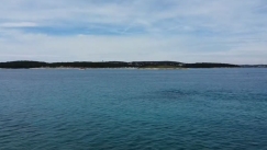 Το νησί στο οποίο «κυριαρχούν» τα κουνέλια: Έχουν γίνει ένα με τους ανθρώπους