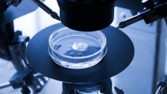 Το πρώτο εργαστήριο που δημιουργεί έμβρυα με ρομπότ και τεχνητή νοημοσύνη