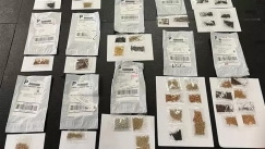 Μυστηριώδη πακέτα με κινεζικούς σπόρους στα σπίτια Αμερικάνων: Τι μπορεί να σημαίνουν (vid) 