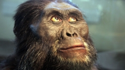 Ούτε οι πίθηκοι, ούτε οι μαϊμούδες: Ποιος θα κάνει «κουμάντο» στη Γη όταν εξαφανιστεί ο άνθρωπος
