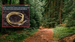 Είδε ένα σύρμα να βγαίνει από το χώμα: Το τράβηξε και κατέληξε σε έναν εντυπωσιακό θησαυρό 3.000 ετών