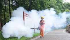 Επείγουσα προειδοποίηση για επικίνδυνο ιό που προκαλεί πυρετό, εξάνθημα και πόνο στις αρθρώσεις