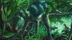 Ανακαλύφθηκε δεινόσαυρος σε μέγεθος… γάτας και αλλάζει όσα ξέραμε για την εξέλιξη