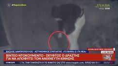 Ρέθυμνο: Νέο βίντεο-ντοκουμέντο από την επίθεση στον κτηνοτρόφο που του έκοψαν τη γλώσσα