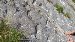 Ορειβάτες ανακαλύπτουν ίχνη 80 εκατ. ετών: Το μυστήριο στον βράχο της Ιταλίας