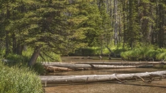 Οι ΗΠΑ θα ρίξουν 6.000 κορμούς με ελικόπτερα σε όλη τη χώρα σε μια άνευ προηγουμένου επιχείρηση