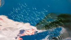 Ποια εποχή του χρόνου «κολυμπάει» πιο γρήγορα το σπέρμα