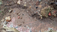 Πήγαν βόλτα σε παραλία της Τυνησίας και σκόνταψαν πάνω σε ρωμαϊκό μωσαϊκό που αναδύθηκε από την άμμο: «Κοίτα, αυτά δεν είναι πλακάκια»