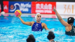 Η Βασιλική Πλευρίτου