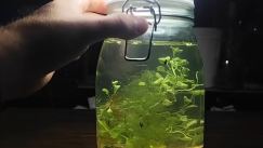 Έβαλε νερό αποχέτευσης σε ένα βάζο για λίγες εβδομάδες και σοκαρίστηκε με αυτό που εμφανίστηκε