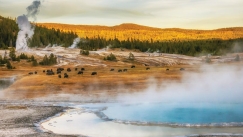 Πώς ένας σεισμός ενεργοποιεί υπόγεια μικρόβια: Νέα δεδομένα για τη ζωή κάτω από την επιφάνεια της Γης