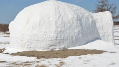 Οικογένεια στη Γερμανία έχτισε ιγκλού στον κήπο της: «Μας πήρε μια ολόκληρη μέρα»