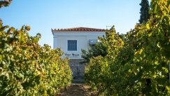 Το Κτήμα Αβαντίς εντάσσεται στο χαρτοφυλάκιο Oenothèque της ΑΜΒΥΞ