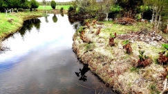 Ανατροπή στην ιστορία της Αμερικής: Μελέτη δείχνει πότε πραγματικά κατοίκησαν εκεί οι άνθρωποι