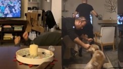 Οι καλύτερες αντιδράσεις των φίλων του Παναθηναϊκού στο γκολ του Ταμπόρδα στα social media