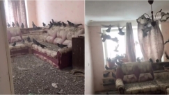 «Είναι φθηνότερο να αγοράσεις καινούργιο»: Ρώσος επέστρεψε σπίτι μετά από 3 χρόνια έχοντας ξεχάσει το παράθυρο ανοιχτό (vid)