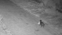 Απίστευτο περιστατικό στην Ιταλία: Εκπαίδευσε τον σκύλο του να πετάει παράνομα τα σκουπίδια (vid)