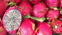 Ξυλουργός φύτεψε 450 δέντρα και παράτησε τη δουλειά του για να ζήσει αποκλειστικά από αυτό: «Είμαι 100% αυτάρκης»