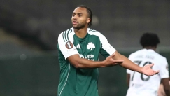 Πάλμερ Μπράουν