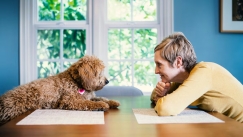 Οικογένεια προσφέρει 68.000 ευρώ και διαμονή για φροντίδα του σκύλου της: Αυτές είναι οι απαιτήσεις εργασίας