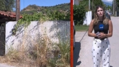 Επίθεση της μητέρας του Τζέιμς Δαλαμάγκα σε δημοσιογράφο: «Αν βγούνε τα σκυλιά θα σε φάνε, είσαι μια ξυπόλυτη»
